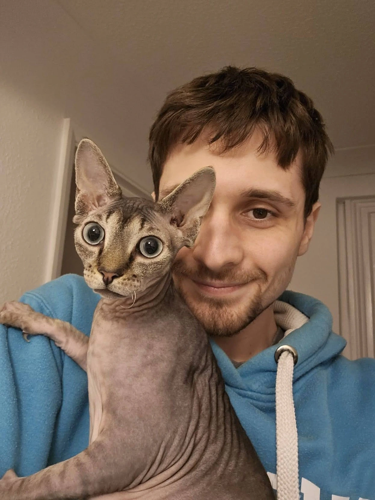 Navigation bar avatar